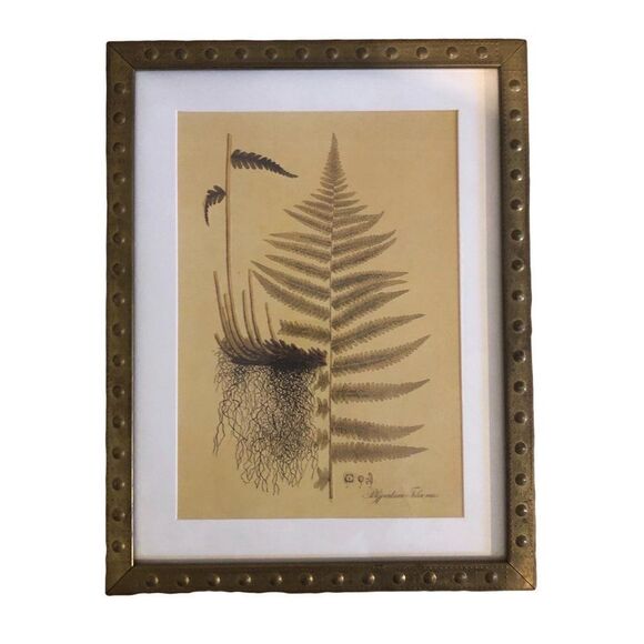 Rare IKEA Botanical Prints set of 4 Brass Frame - Picture 4 of 9